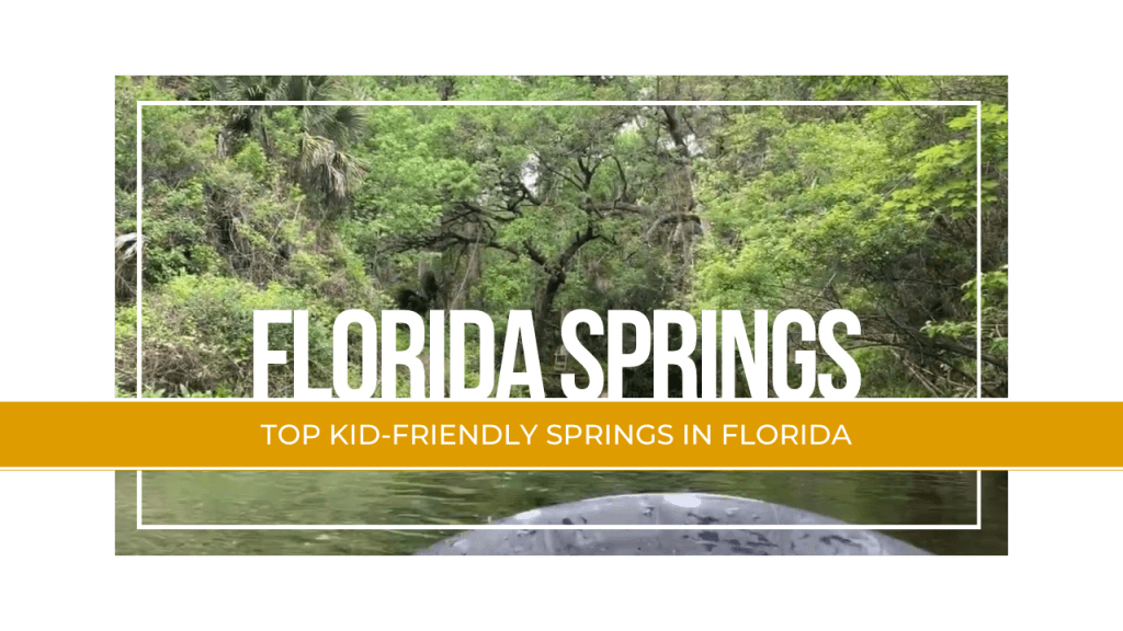 Top Kid-Friendly Springs in&nbsp;Florida